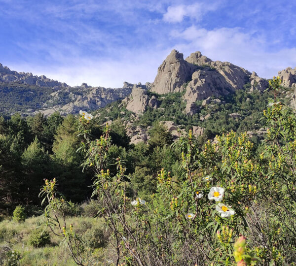 La Pedriza