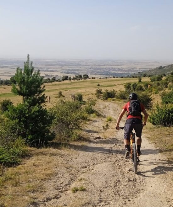 E-Bike Adventure from Madrid